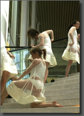 Le Carré d'Art, école de danse à Strasbourg - Les tournis de l'Europe ouverte - portes ouvertures du Parlement européen de Strasbourg - image 10