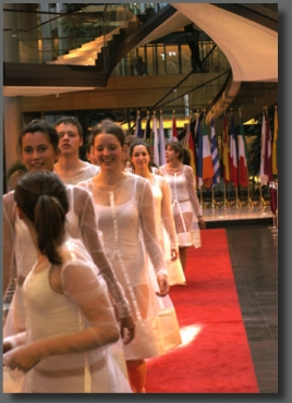 Le Carré d'Art, dance school in Strasbourg - Les tournis de l'Europe ouverte - portes ouvertures du Parlement européen de Strasbourg - image 12