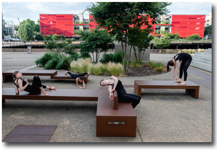 Le Carré d'Art école de danse - photo 28